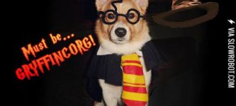 Gryffincorg%21