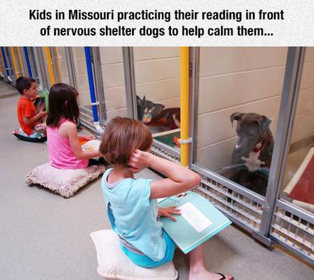 Kids+In+Missouri+Practicing+Their+Reading+With+Shelter+Dogs