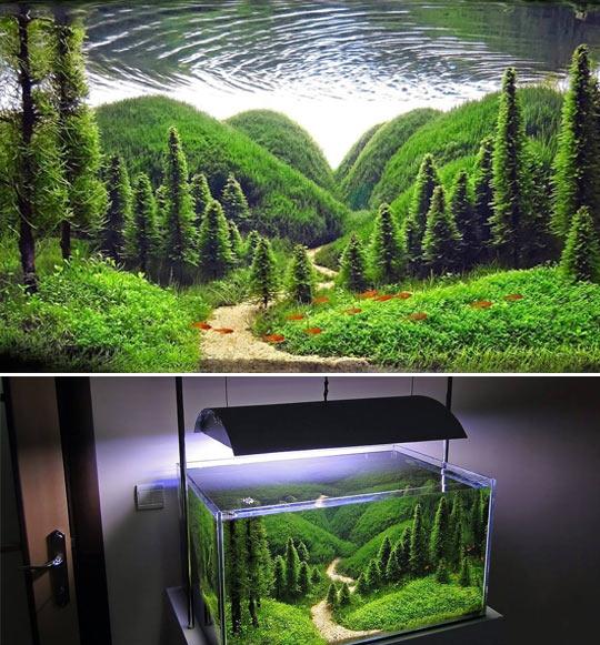 The+octopus%26%238217%3Bs+garden.