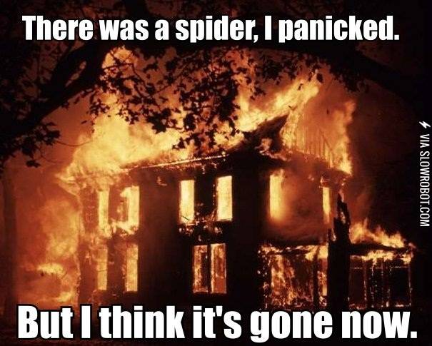 There+was+a+spider%26%238230%3B