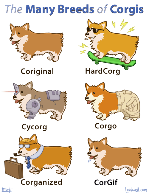 The+many+breeds+of+corgis