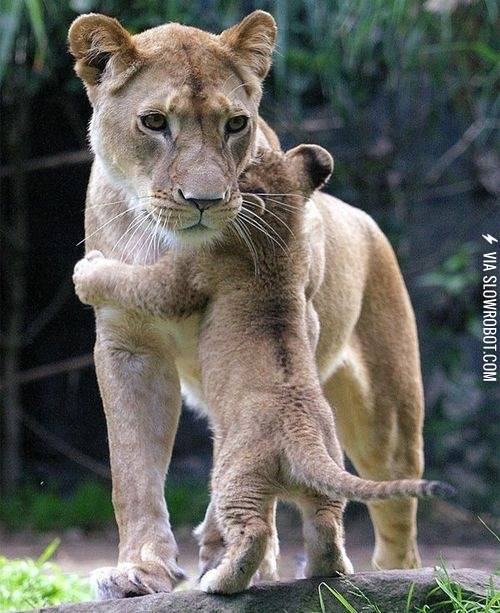 Hug+for+Mama