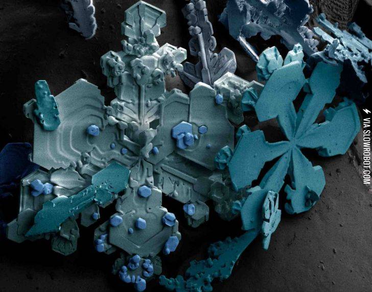 Snow%2C+as+seen+through+an+electron+microscope