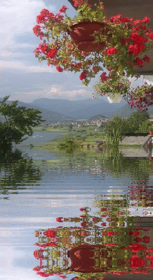 Countryside+Refelections