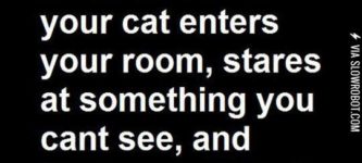 That+Terrifying+Moment%26%238230%3B