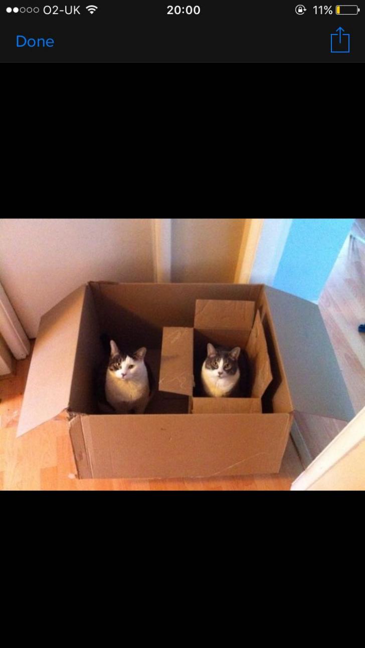 Schr%C3%B6dinger%26%238230%3Bwe+have+a+problem