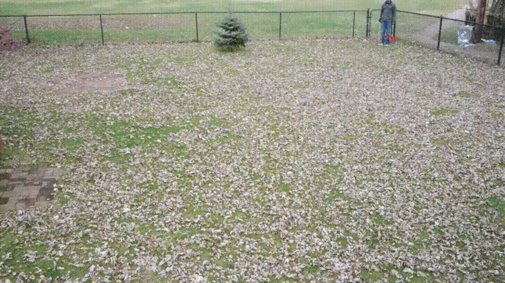Raking+leaves+is+satisfying.