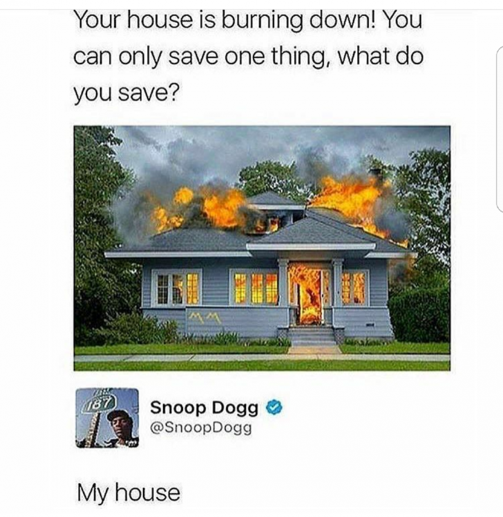 Snoop+hacks.