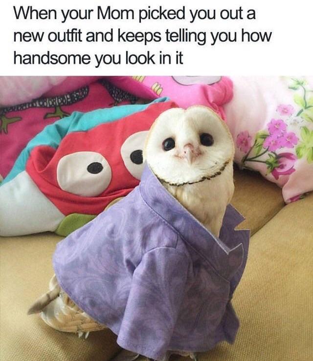 Mah%2C+stop+it.+%3A%29