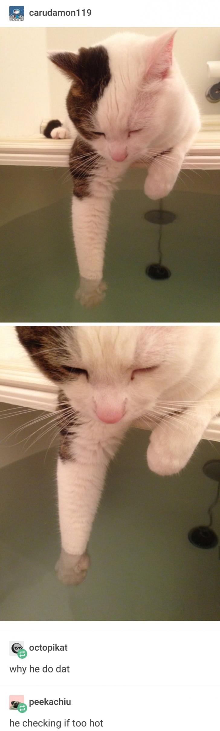 He%26%238217%3Bs+just+checking+the+water+temp