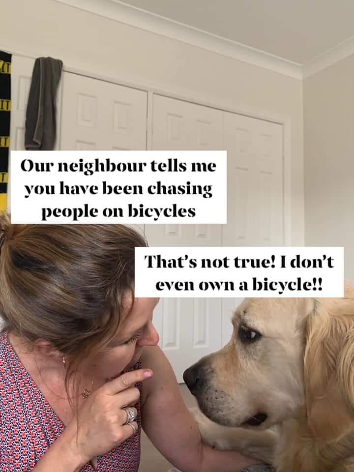 Best+boy+always+tells+the+truth.