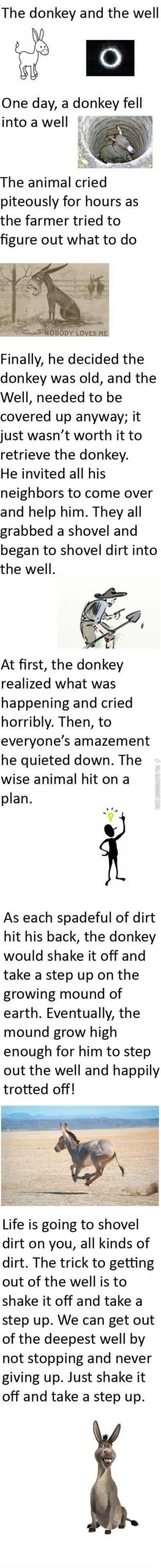 The+donkey+and+the+well.