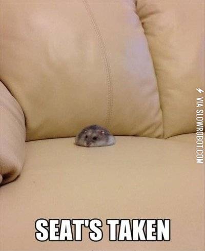 Seat%26%238217%3Bs+taken
