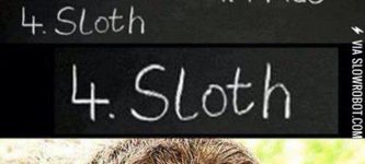 Sloth