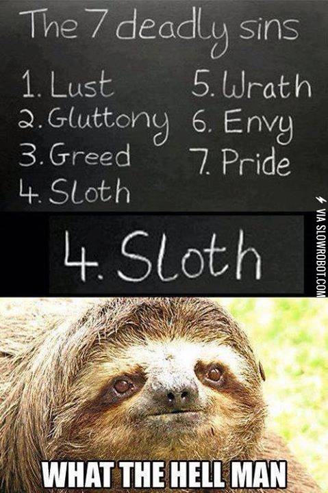 Sloth