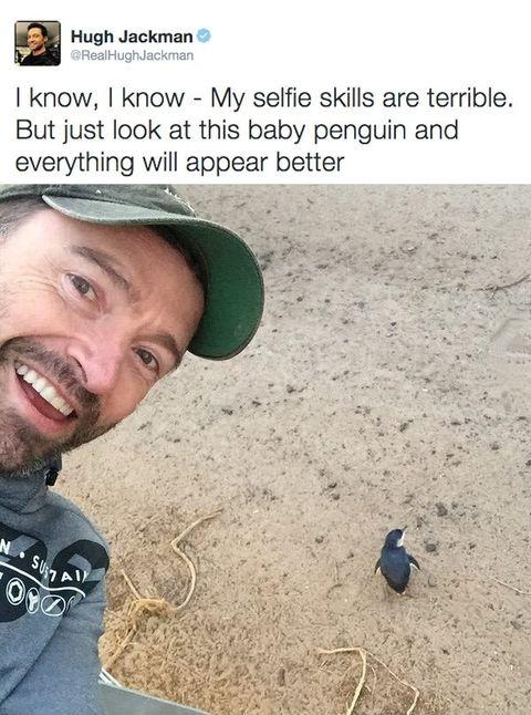 Just+Hugh+Jackman+with+a+baby+penguin