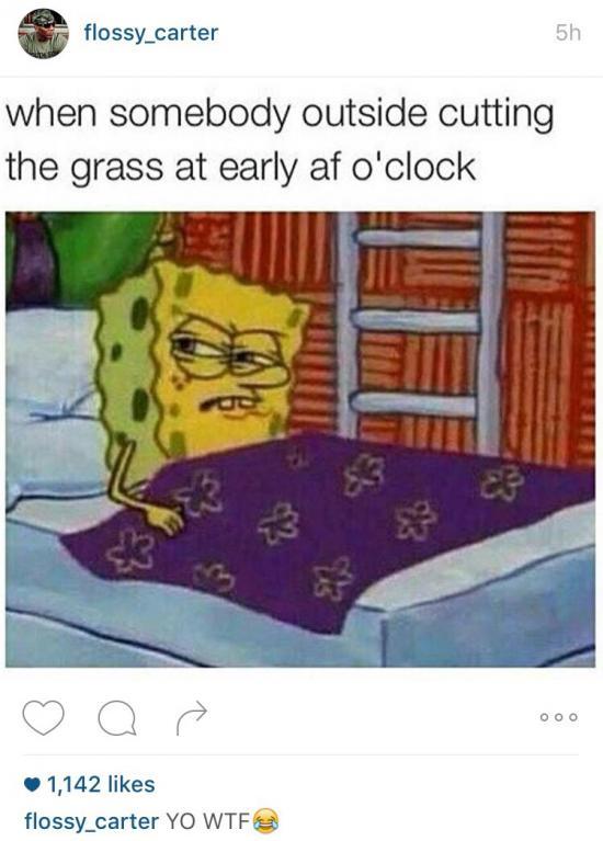 Cut+that+with+some+scissors+before+10+am