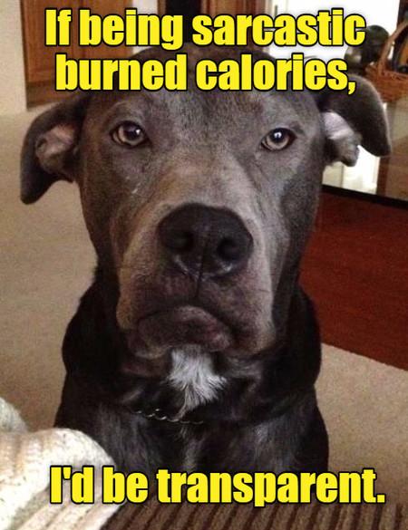 If+Being+Sarcastic+Burned+Calories