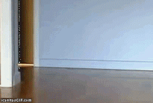 This+way%21+I+know+a+shortcut%21