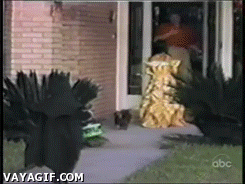 The+hero+Gotham+deserves%26%238230%3B+never+mind.