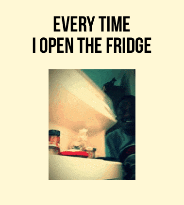 Every+time+I+open+the+fridge.