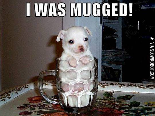 I+was+mugged%21