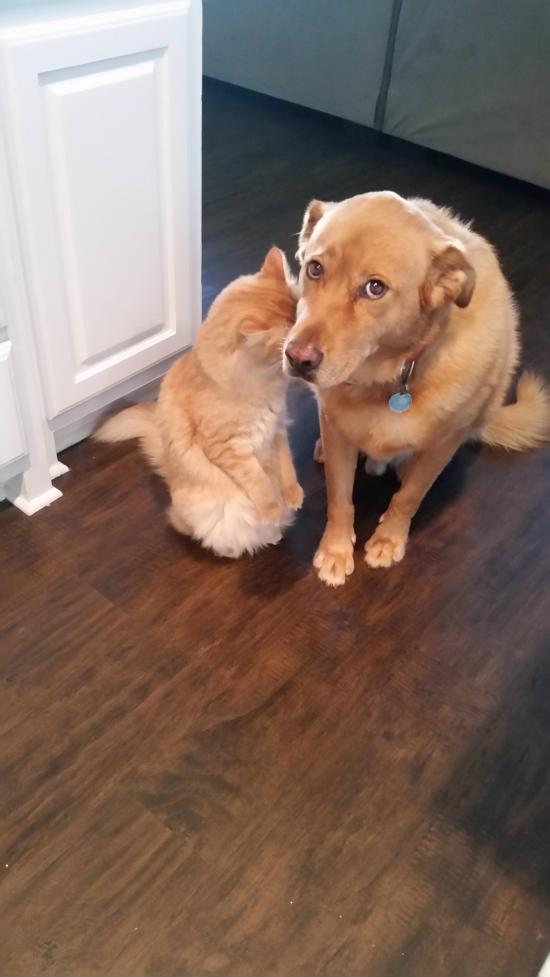 I+haven%26%238217%3Bt+found+what+they+broke+yet