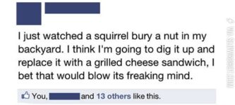 Trolling+a+squirrel.