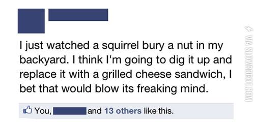 Trolling+a+squirrel.