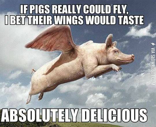 If+pigs+could+fly.