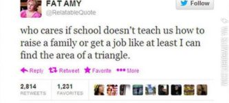 At+least+I+can+find+the+area+of+a+triangle.