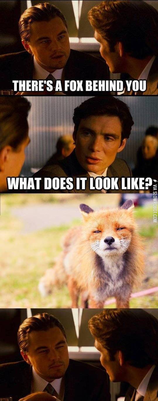 What+does+it+look+like%3F