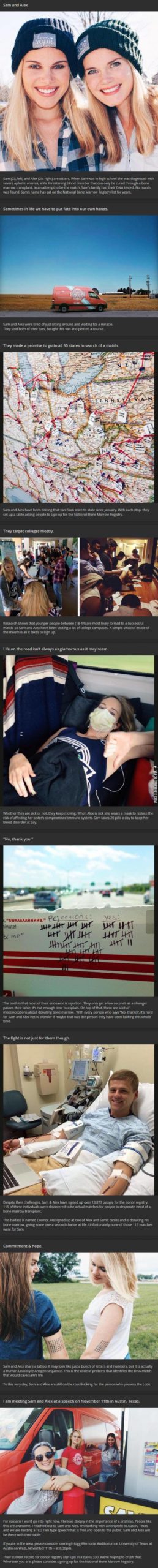 The+quest+of+two+sisters.