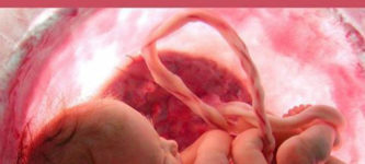 Baby+helps+pregnant+mom+from+the+Womb%26%238230%3B