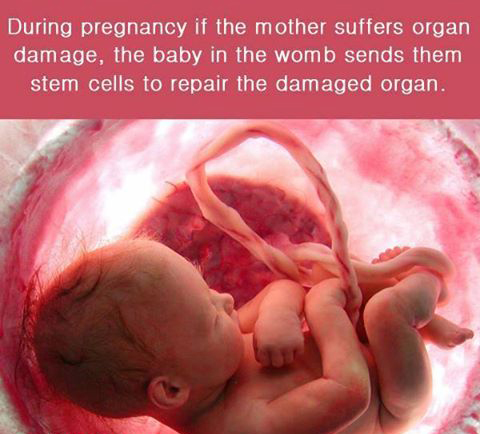 Baby+helps+pregnant+mom+from+the+Womb%26%238230%3B