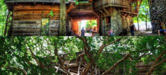 Epic+treehouse