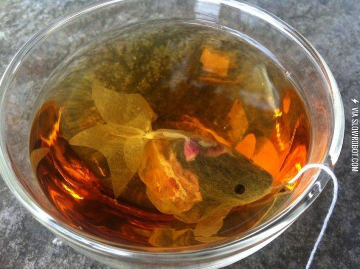 This+teabag+looks+like+a+goldfish.