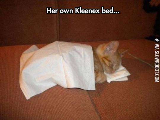 Her+own+Kleenex+bed