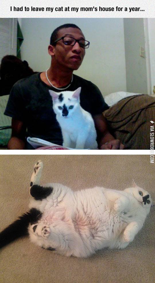 What+happens+when+you+leave+your+cat+at+your+mom%26%238217%3Bs+house