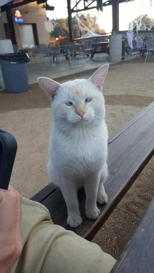 This+guy+walked+up+to+us+at+a+bar%2C+hope+he+isn%26%238217%3Bt+driving+home.