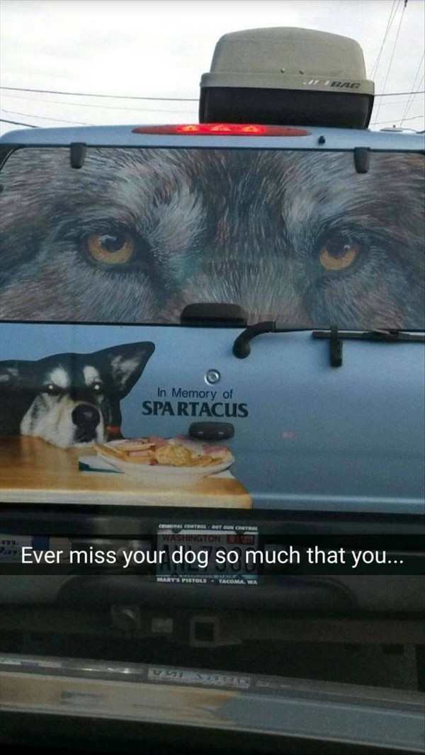 In+Memory+of+Spartacus