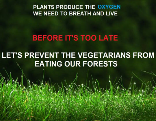 We+Still+Have+Some+Time