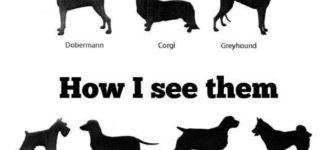 How+I+see+dogs+vs+how+my+girlfriend+sees+dogs