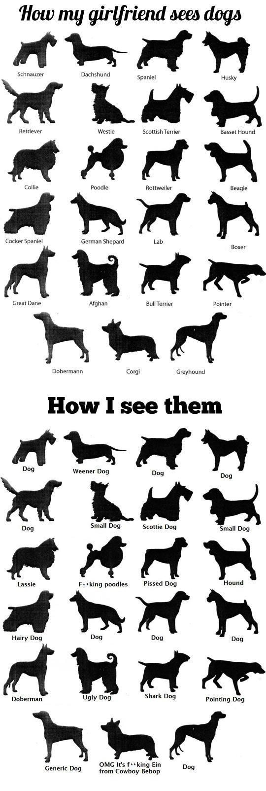 How+I+see+dogs+vs+how+my+girlfriend+sees+dogs