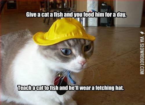 Give+a+cat+a+fish.