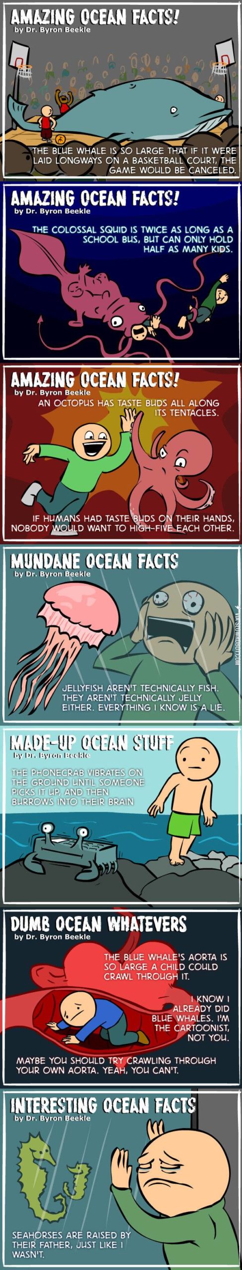 Real+Ocean+Facts%21