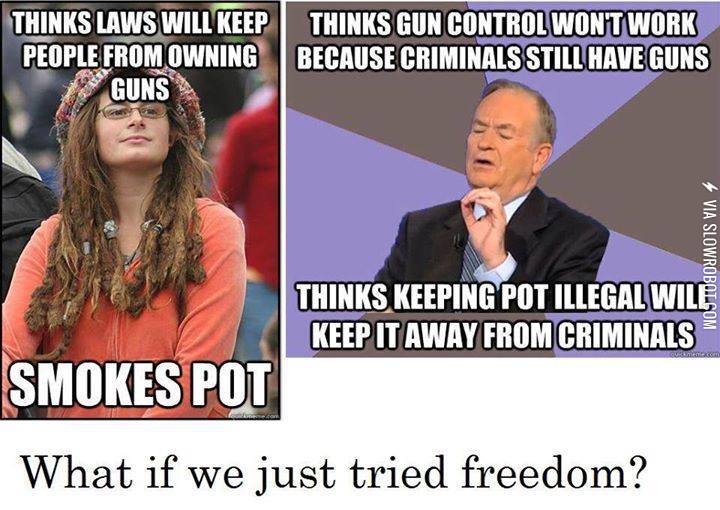 yeah%2C+freedom+could+work