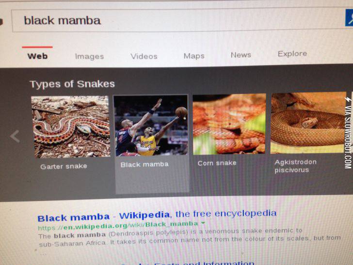 One+of+these+things+is+not+like+the+other%26%238230%3B