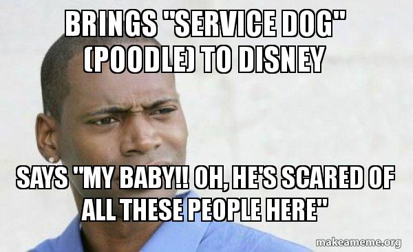 Your+pet+poodle+is+not+a+service+dog.