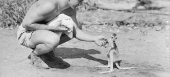 An+American+soldier+and+a+kangaroo+in+1942.
